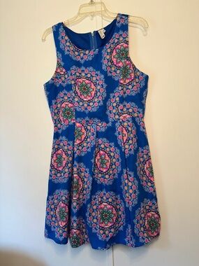 Pink Owl Mandala Paisley Floral Pleated A-Line Mini Dress Blue Pink Large